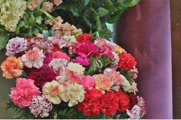 Fiori freschi