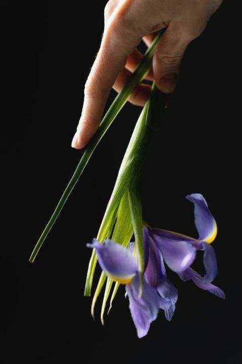 Bouquet classico